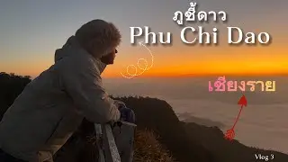 Phu Chi Dao Sunrise | Travel Vlog Thailand 🇹🇭 #travel #flowerfestival #thaifood 