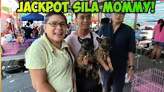 SOBRANG HAPPY SI MOMMY! DREAM DOG NILA MAIUUWI NA! GROTTO PET MARKET 12/28/25
