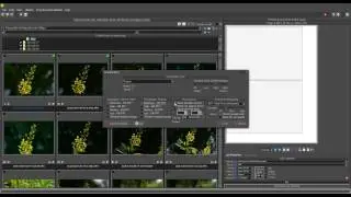Qimage Ultimate &mdash; параметры печати