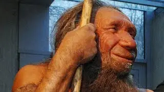 What Happened to Neanderthals?