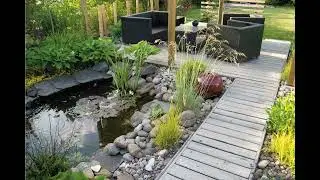 Jungle Landscape Ideas