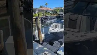 Living with Manatees in Paradise: Boca Raton Waterfront Bliss