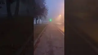 Wintry Fog: Mysterious Vibe and Low Visibility