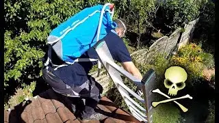 Destruction d'un &eacute;norme nid de fourmis sur le toit d'une maison