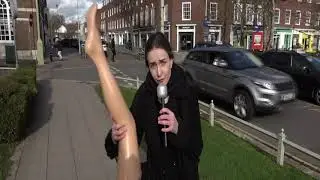 NEWS at LEGS Special Report from Welwyn Garden City