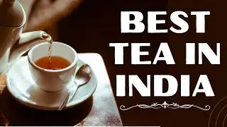 Amazing Tea Manufacturing Company in India | Tea for Winters | Infused with Organic Wellness Herbs