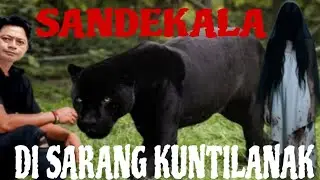 LIVE MISTERI MALAM INI‼️SARANG KUNTILANAK