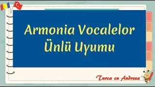 Învață Turca Lecția -3 Armonia Vocalelor (Ünlü uyumu)