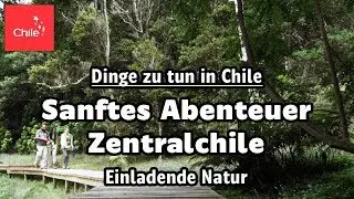Dinge zu tun in Chile: Sanftes Abenteuer Zentralchile  - Einladende Natur