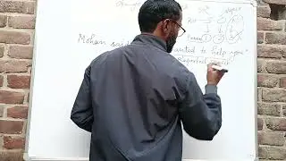 The change of pronouns,Direct and Indirect narration, grammar rules,Eng grammar Class 12th grammar
