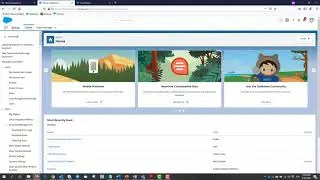 Checking the Status of a Salesforce Instance
