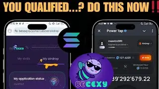 Вы прошли отбор на BEcexy Airdrop?.. Но вот чего вы не знаете.