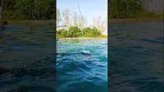 Hub Town Balochistan Hidden Farm House | Secret Place Near Karachi 😱 😍 🌿