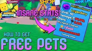 🤑HOW TO GET FREE PETS🆓 - Roblox Banning Simulator X