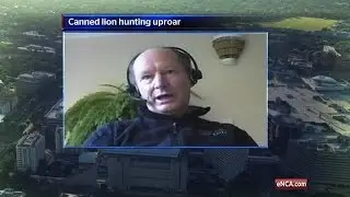 SA government promotes canned hunting &ndash; activist
