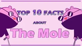 Top 10 Facts About THE MOLE From Happy Tree Friends (Character review)