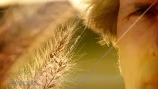 Caleb Price Showreel 2014