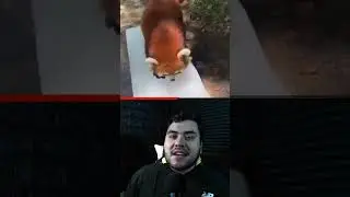 Cuando intentas ser rudo pero eres adorable 😂