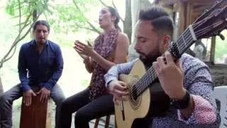 La Magia del Flamenco en el Viejo Ilaló / S.O.S. -  Falete