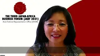 The Third Japan-Africa Business Forum (JABF) - Day 2
