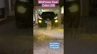 Dual Color LED Fog lamp bulbs from Winpower #ledfoglamp #foglights #nexon