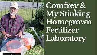 Comfrey & My Stinking Homegrown Fertilizer Factory
