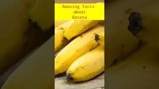 #Banana #BananaLovers #HealthyEating #Fruit #BananaLife #BananaRecipes #YellowFruit #BananaPower