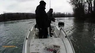 Double touche de silure au fireball