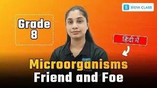 Microorganisms Friend and Foe | Grade 8 | Habitat of Microorganisms | SISYA CLASS