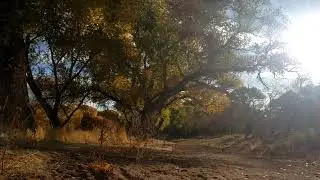 Riverfront Disc Golf Park - Cottonwood, Arizona