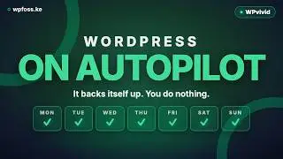 How to Set Up Automatic WordPress Backups With WPvivid