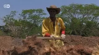 Eco-friendly palm oil in Colombia | Global Ideas