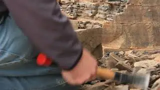paleontology dig fossicking fossil hunting excavation and extraction