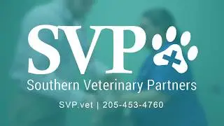 Southern Veterinary Partners