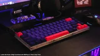 KBD67 LITE | NovelKeys Silk Yellow | Akko Neon | Typing Test ASMR