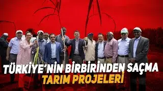 Türkiye’nin birbirinden saçma tarım projeleri