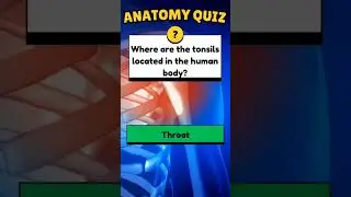 Brain Teaser PH Challenge #01 #brain #riddles #test #challenge #teaser #blowup #smart #intelligence