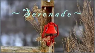The Elegance of Pachelbel ~ S E R E N A D E ~ ★*。ღ˛°。*°♥˚•★˚