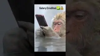 Salary Credited vs. 5 Minutes Later 💸😭