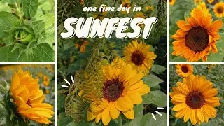 Visiting the sunfest || Sunflower Festival || Rooftop Garden || Exploregarden