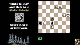 Computer-Generated Chess Problem 04168