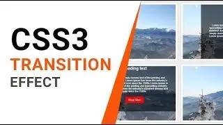 css3 transition effect | image box hover effect