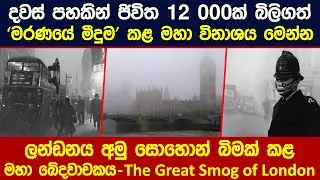 ලන්ඩනය අමු සොහොන් බිමක් කළ මහා ඛේදවාචකය - The Great Smog of London