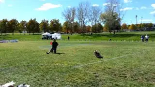 UFO World Cup Finals 2013 - FINAL FREESTYLE ROUND - Andrew Han & Solar