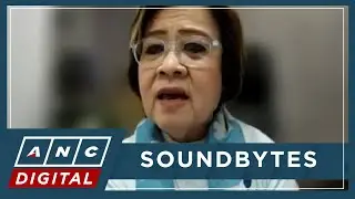 De Lima mulls bill institutionalizing transparent, open bicam budget deliberations | ANC