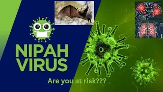 Nipah Virus. Are you at risk???