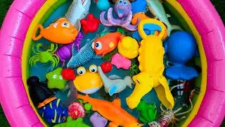 Learn Ocean Creatures for Kids | Fun Underwater Learning and Toy Playtime!