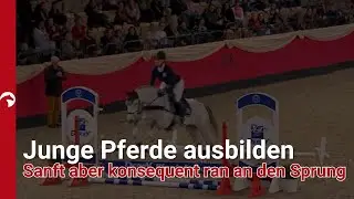 Junge Pferde ausbilden - Sanft aber konsequent ran an den Sprung🐎