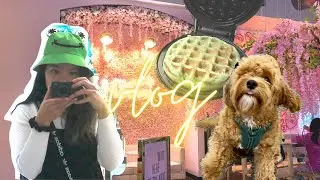 Busy week in my life vlog // what i ate, out on the town, trivia night, karaoke party