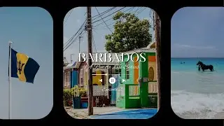 Building a remote life in Barbados with Janella Shirley | A Welcome Stamp Visa Series